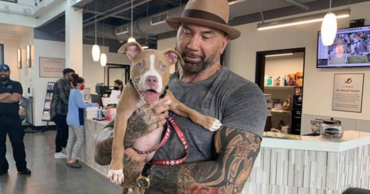 Sage e Dave Bautista