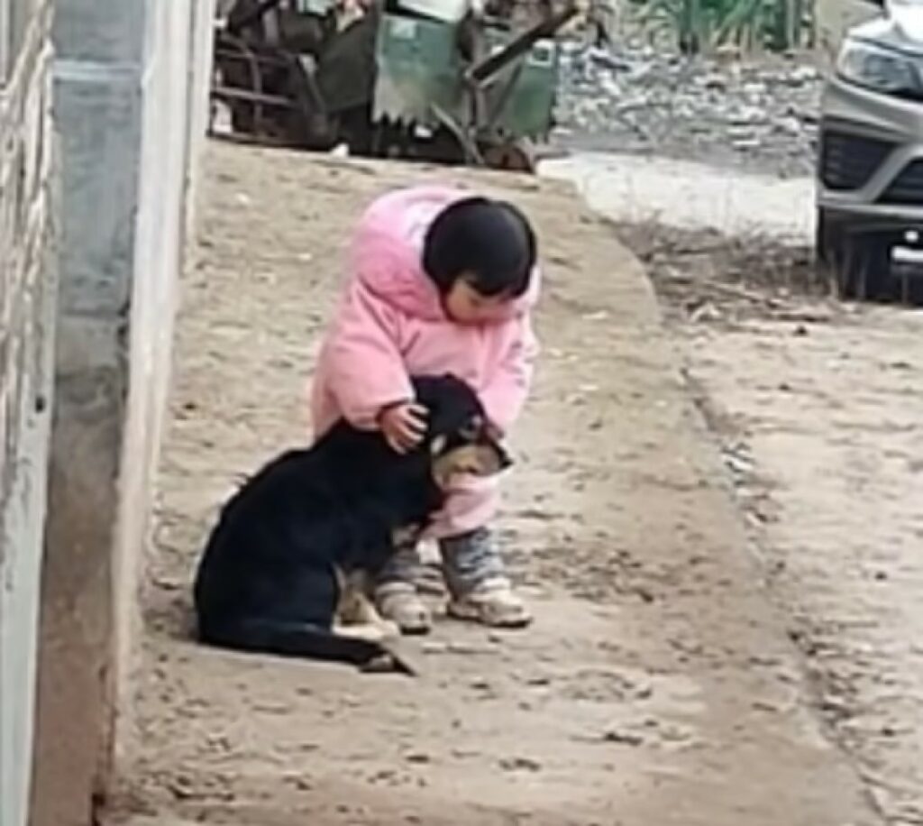 Bimba di due anni copre le orecchie al suo cagnolino che ha paura dei fuochi