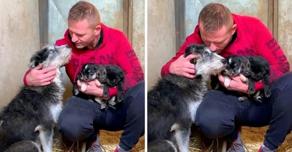 L'uomo trascorre tutto il giorno nella neve cercando di salvare i cuccioli morenti