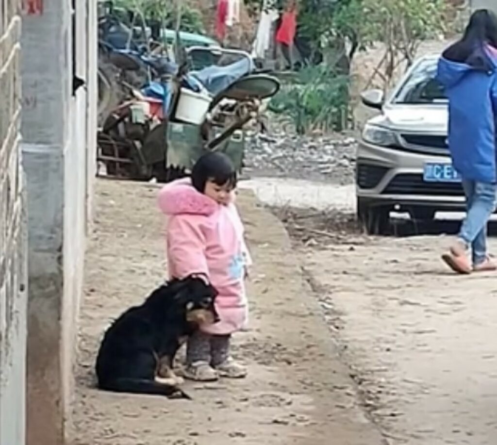 Bimba di due anni copre le orecchie al suo cagnolino che ha paura dei fuochi