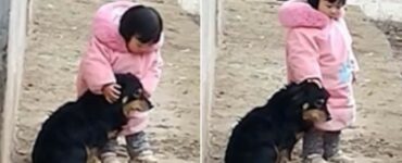 Bimba di due anni copre le orecchie al suo cagnolino che ha paura dei fuochi