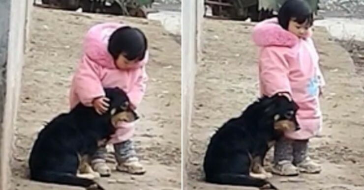 Bimba di due anni copre le orecchie al suo cagnolino che ha paura dei fuochi