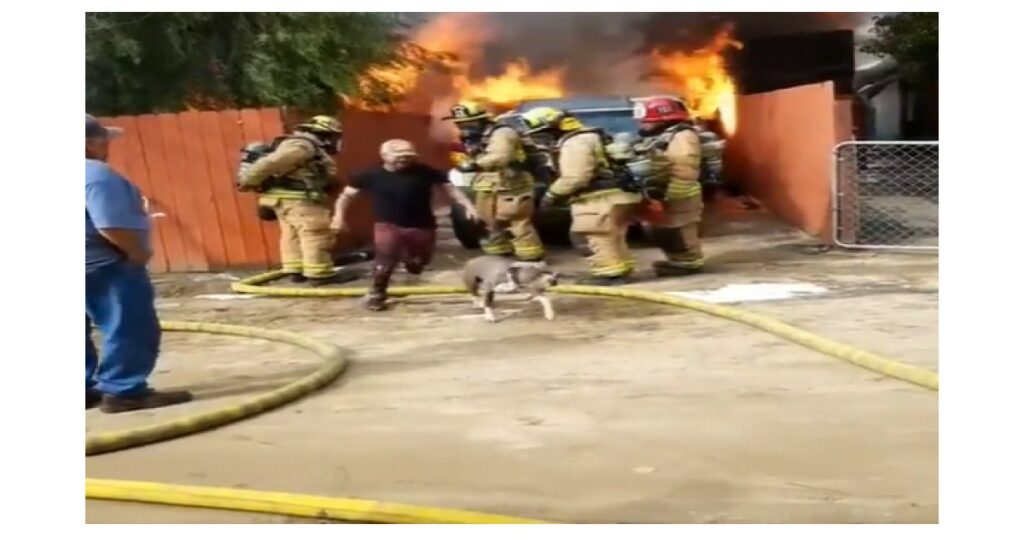 Si lancia tra le fiamme per salvare il suo adorato cane