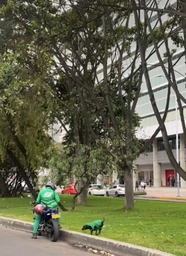 Cucciolo accompagna il suo padrone a consegnare i pacchi