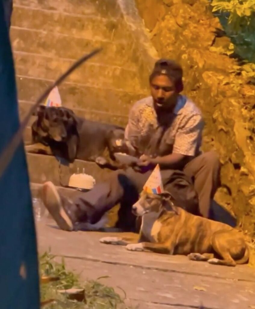 Uomo festeggia il compleanno del suo cane