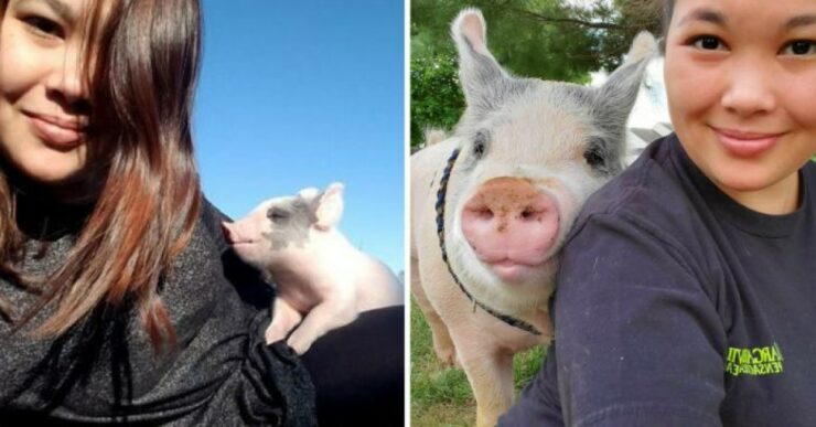 Little Pig ha una seconda possibilità di felicità