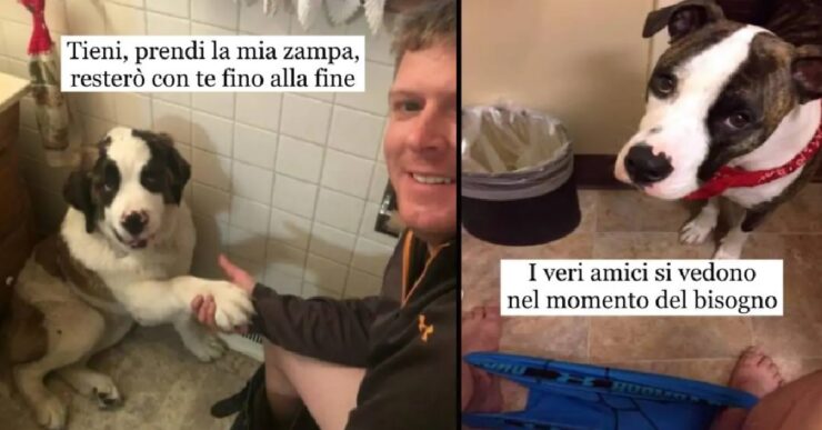 cani che non conoscono lo spazio personale