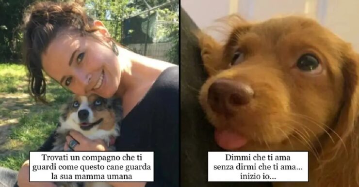 cani che riuscirebbero a sciogliere il cuore