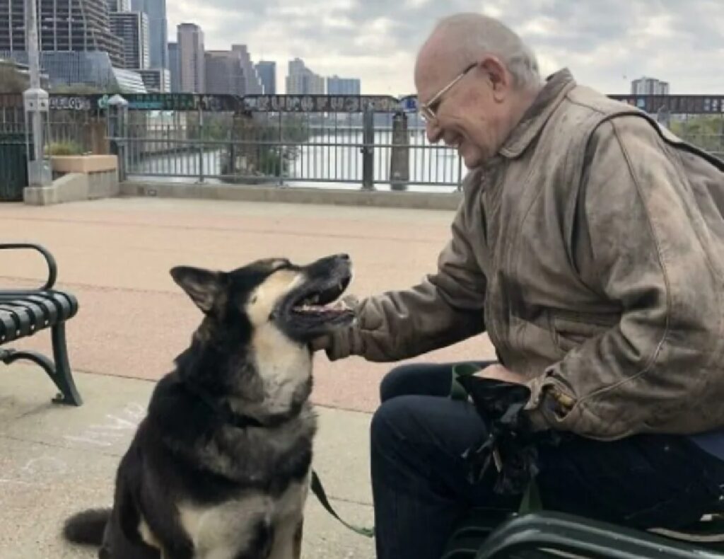cane su un ponte con anziano 