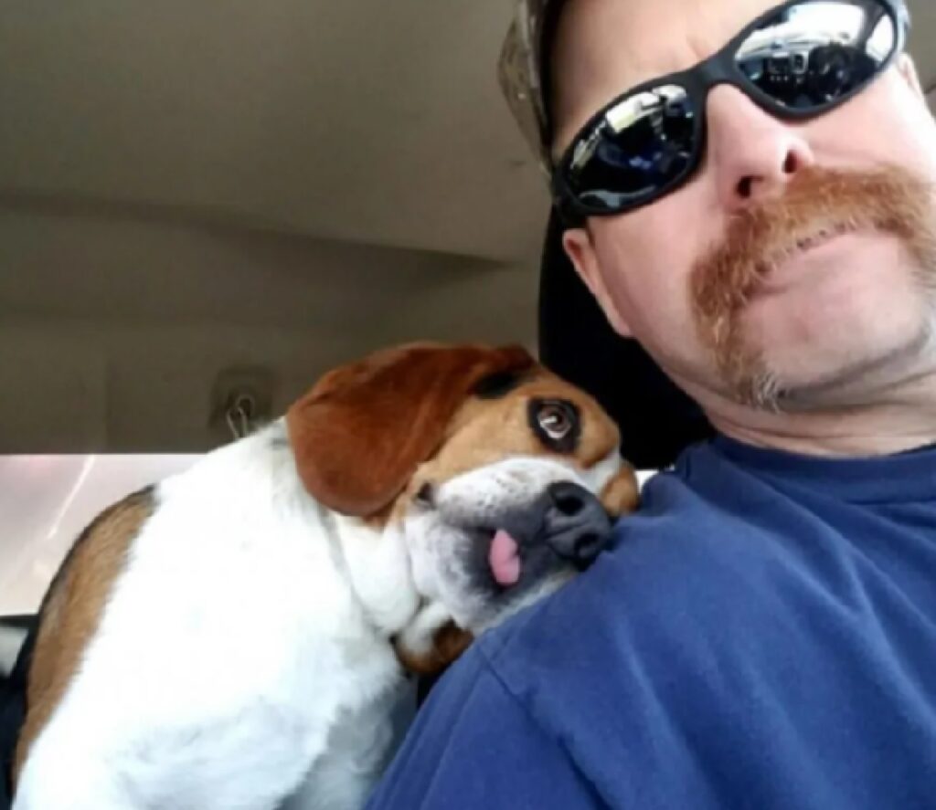 cane beagle uomo con baffi 