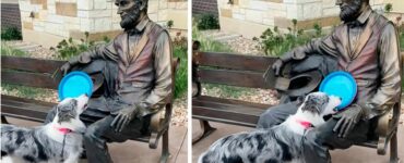 Il cucciolo non riesce a capire perché Abraham Lincoln non gli lancia il frisbee