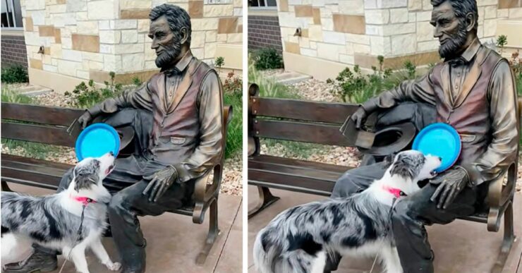 Il cucciolo non riesce a capire perché Abraham Lincoln non gli lancia il frisbee