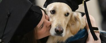 Cagnolino consegue il diploma