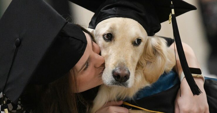 Cagnolino consegue il diploma