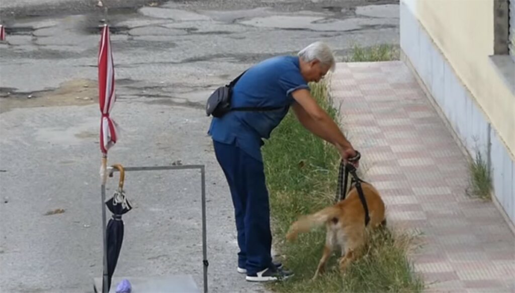 Porta cagnolino disabile a passeggio