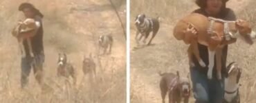 Uomo presta le proprie gambe al cane