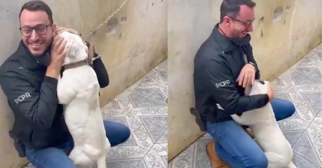 Il cane riconoscente non smette di baciare e ringraziare l'uomo che l'ha salvato
