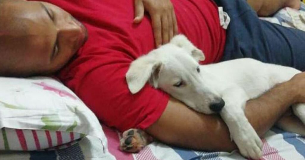 cane senzatetto non riesce a credere di avere finalmente una casa e una famiglia per lui