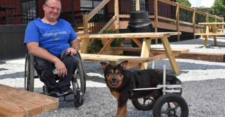 Cucciolo paralizzato muore dopo aver finalmente trovato la famiglia giusta per lui