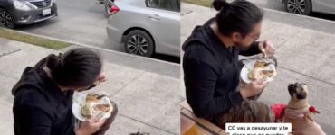 ristoratore vieta ad un ragazzo di entrare con il suo cucciolo e decide di mangiare per strada con lui