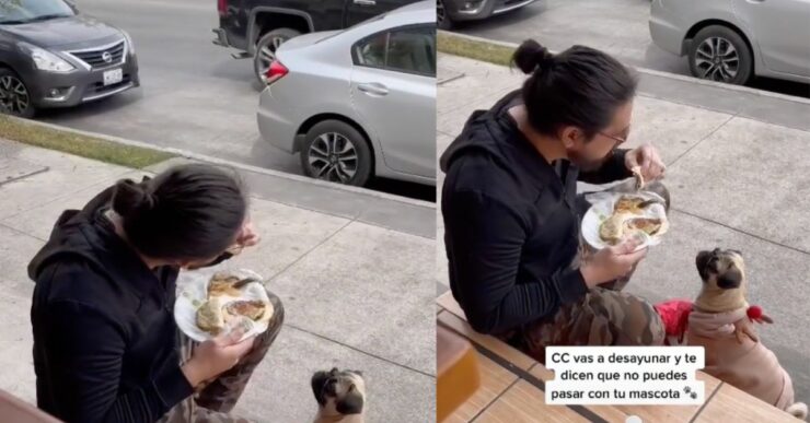 ristoratore vieta ad un ragazzo di entrare con il suo cucciolo e decide di mangiare per strada con lui
