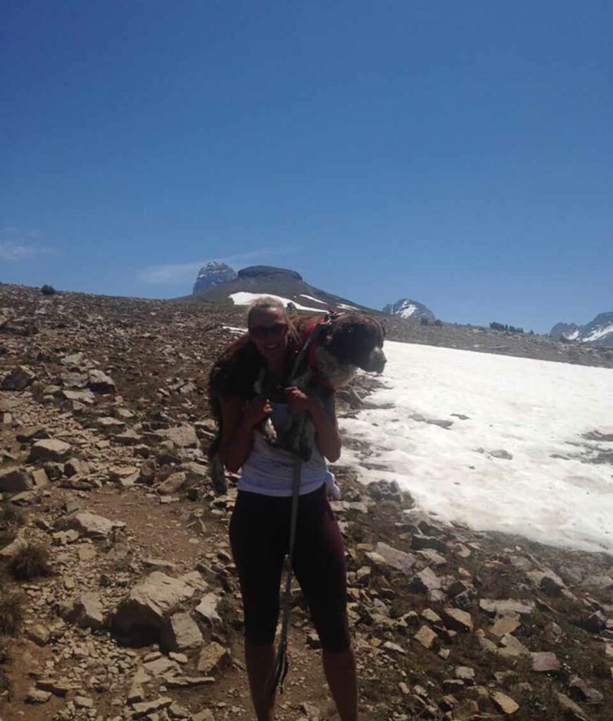 Una donna trova un cane ferito su una montagna e lo porta sulle spalle