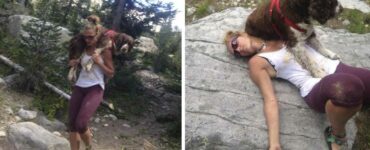 Una donna trova un cane ferito su una montagna e lo porta sulle spalle
