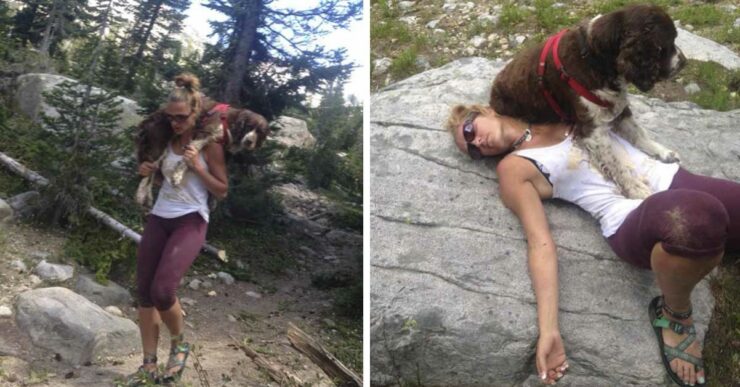 Una donna trova un cane ferito su una montagna e lo porta sulle spalle