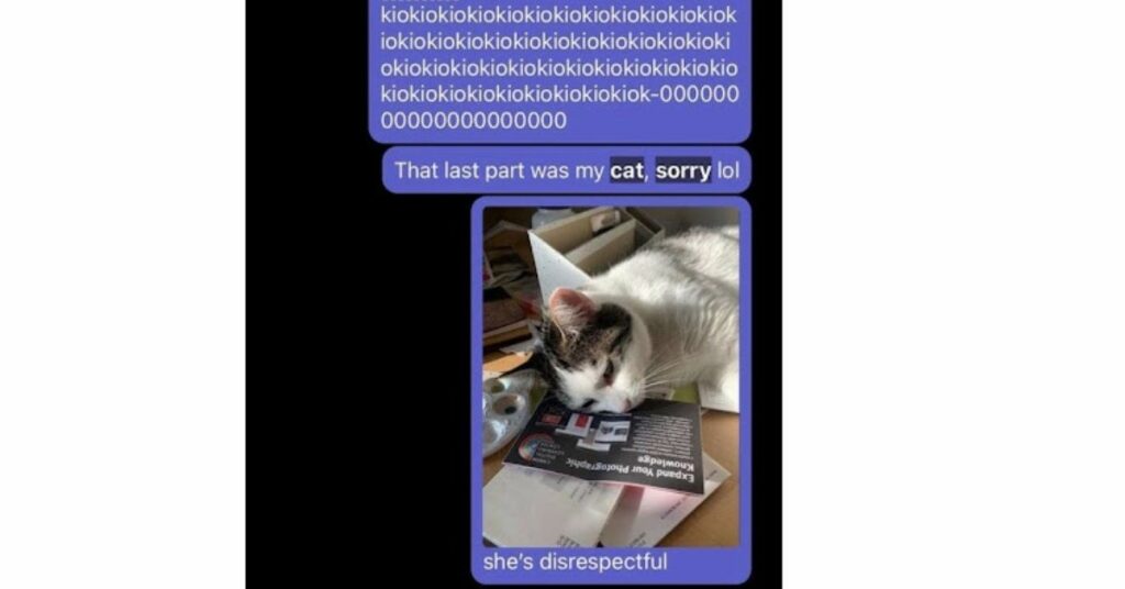 gatto non smette di mandare messaggi misteriosi ai colleghi della sua mamma