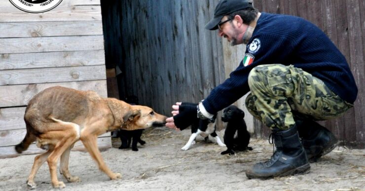 italiano e cane