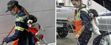 spazzina di Bangkok porta il suo cucciolo con lei al lavoro ogni giorno