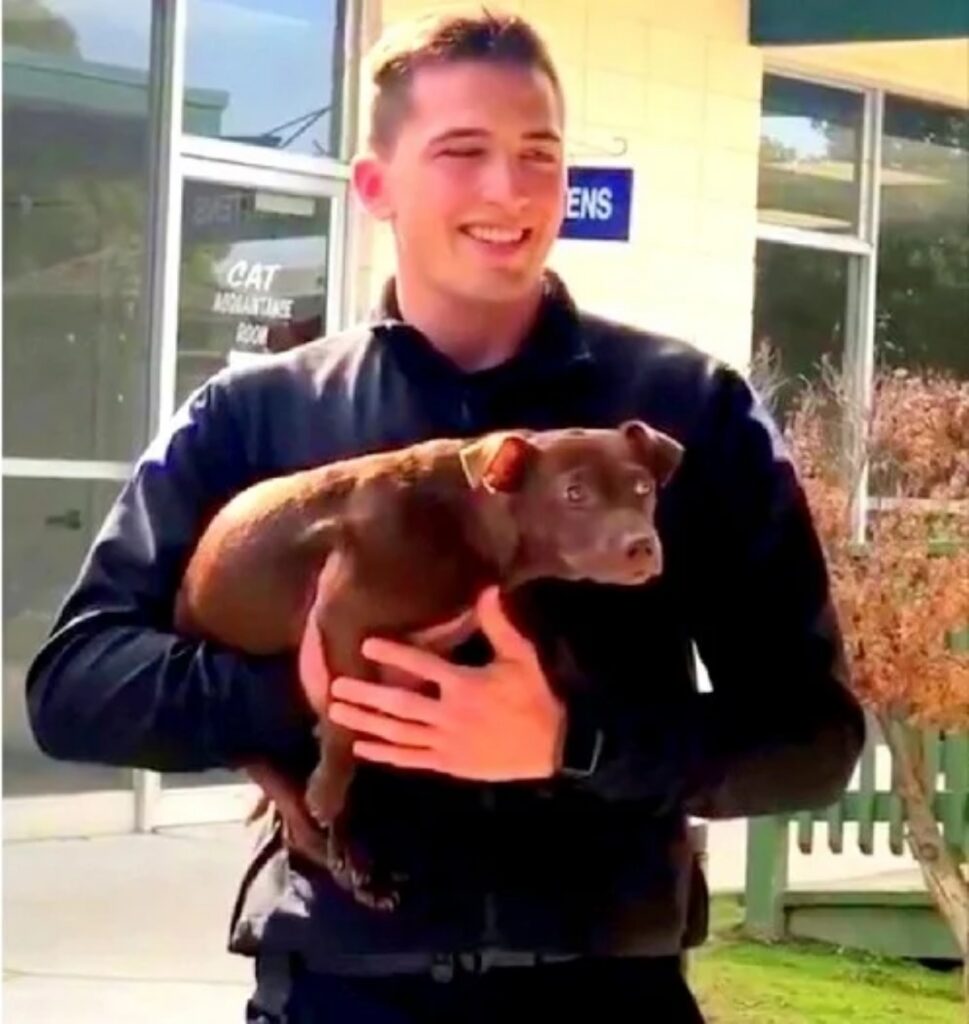 cane e poliziotto