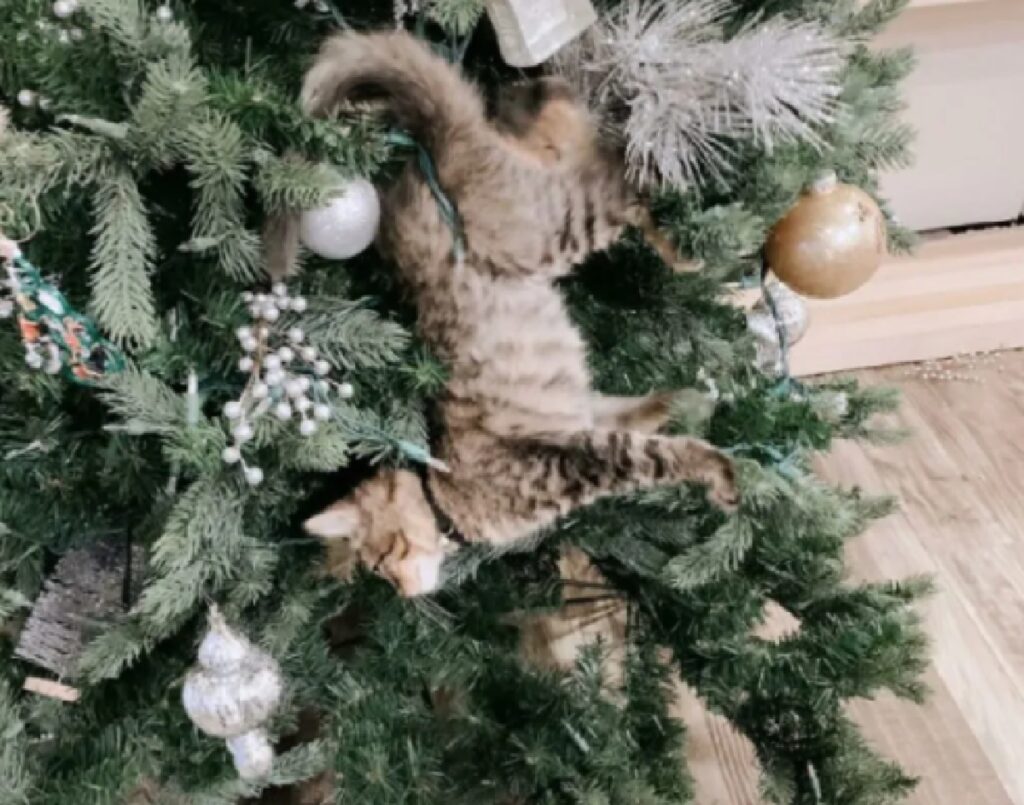 gatto albero di natale 