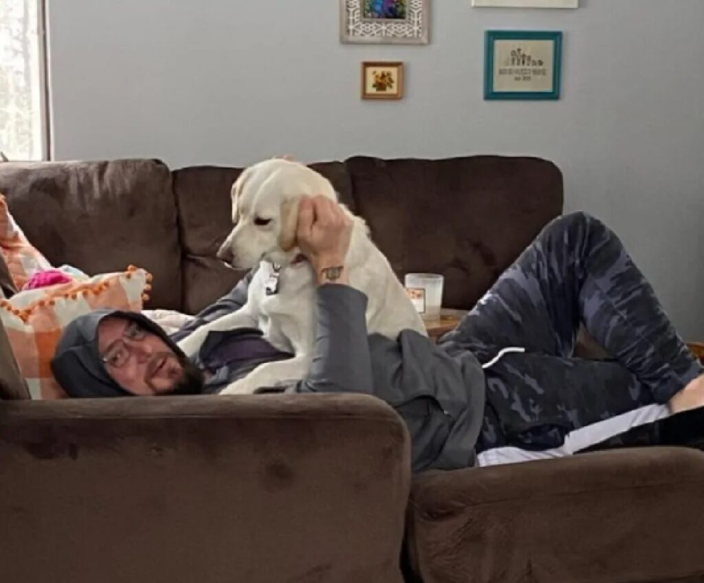 cane gioca con persona su divano 