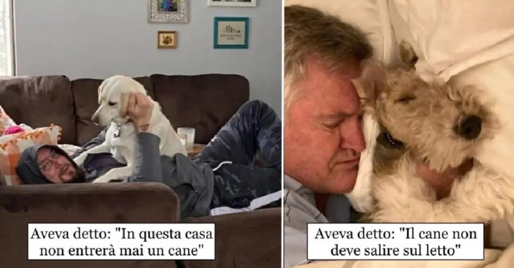 cani che hanno stravolto vita persone