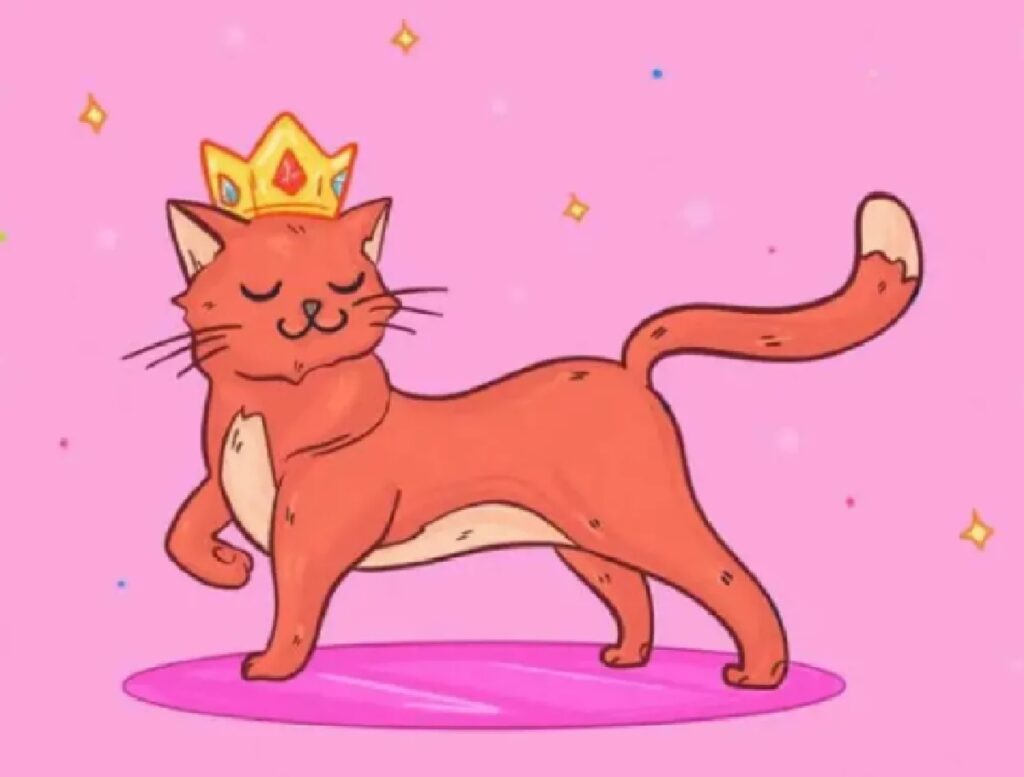 gatto con corona sulla testa 