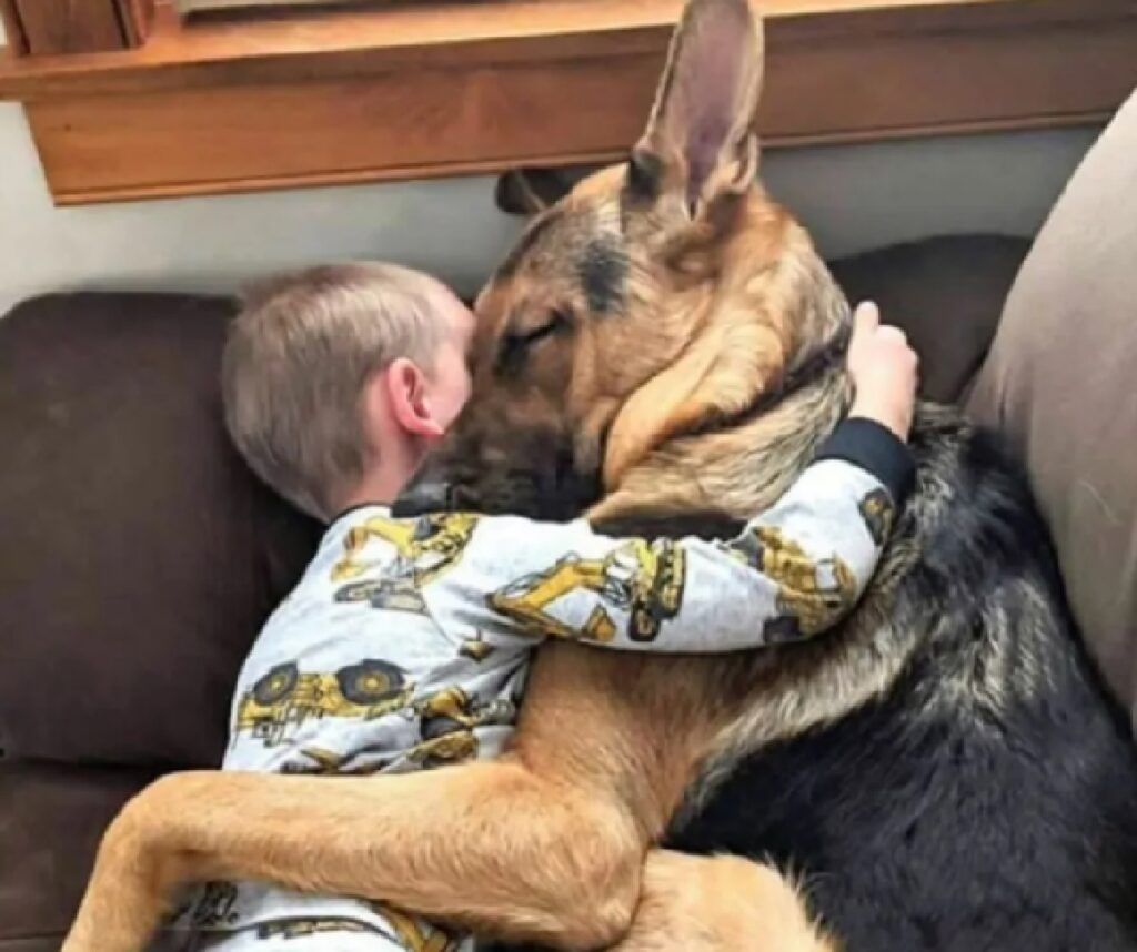cane e ragazzino dormono assieme 