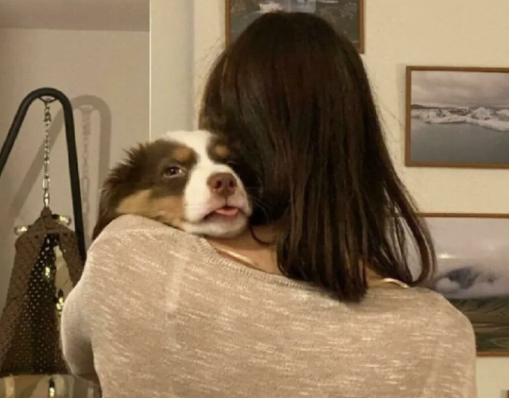 cagnolino amorevole abbraccio 