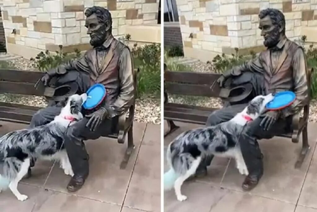 cane gioca con statua