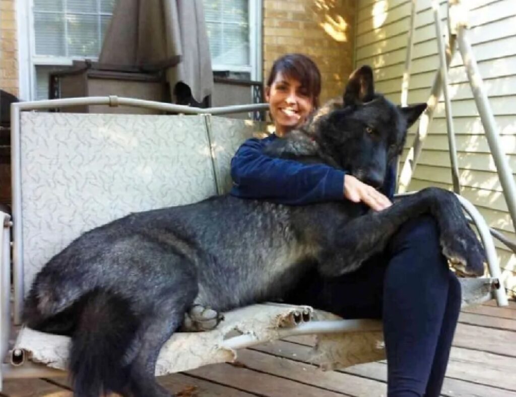 cane nero su corpo donna 