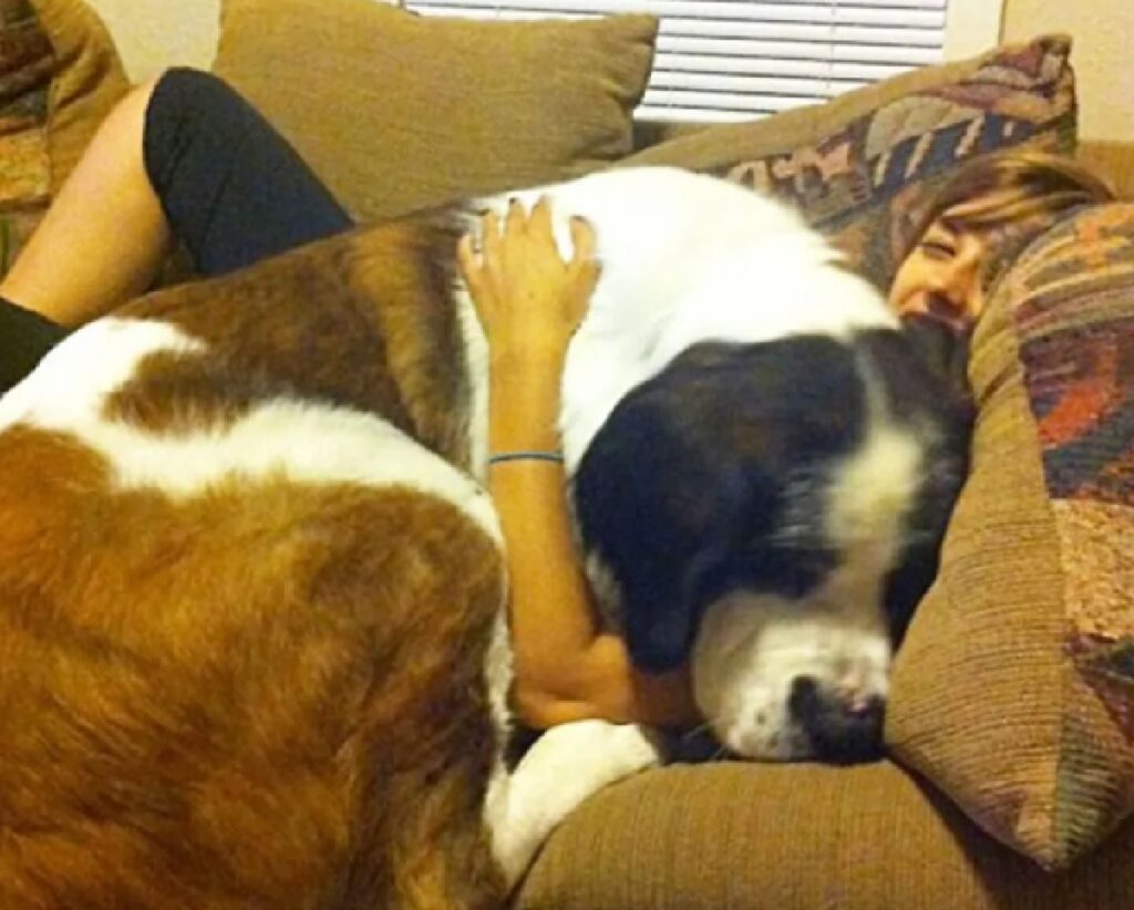 cane dorme abbracciato 