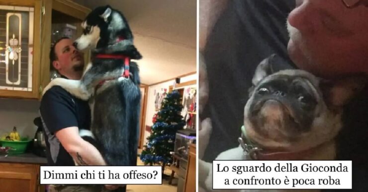 cani che sanno perfettamente di essere unici