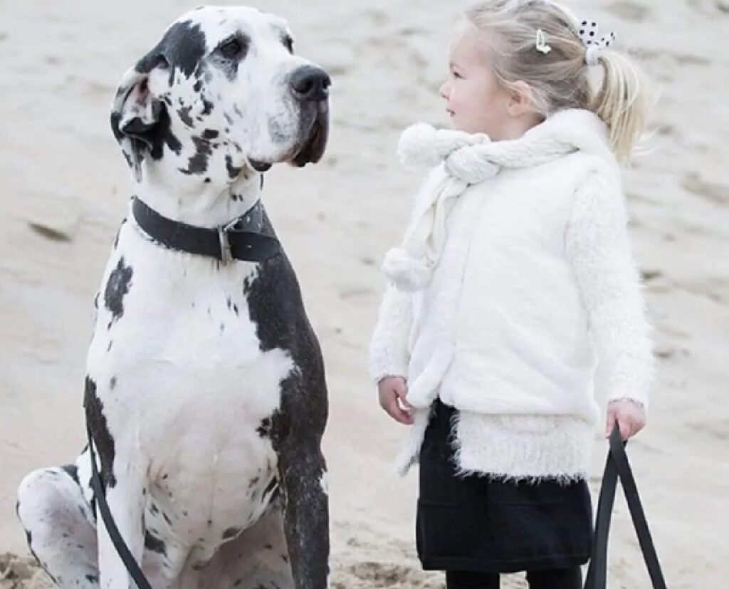 cane vicino a ragazzina 