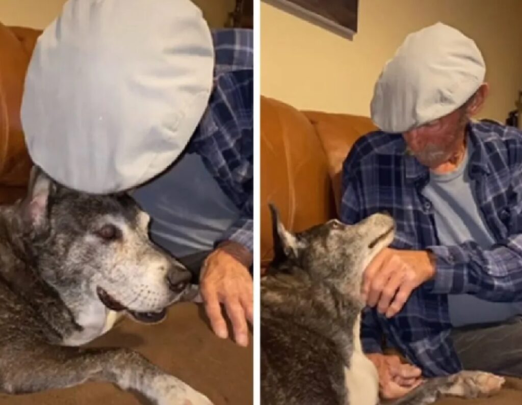 cane anziano gesto amore proprietario 