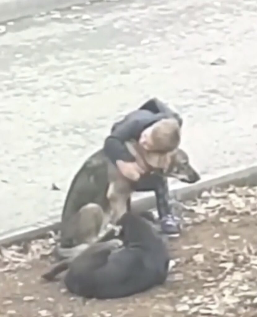 Cagnolino salva un bambino dal freddo