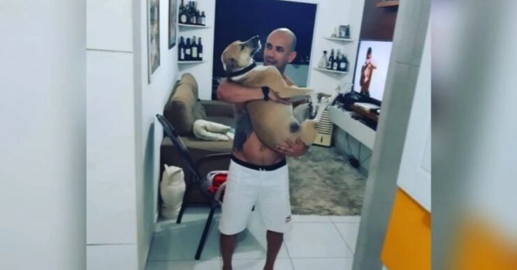 cagnolino smarrito e ritrovato dopo 45 giorni