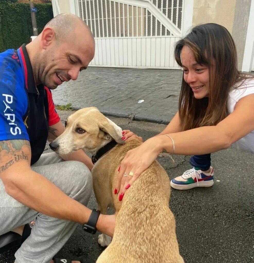 cagnolino smarrito e ritrovato dopo 45 giorni