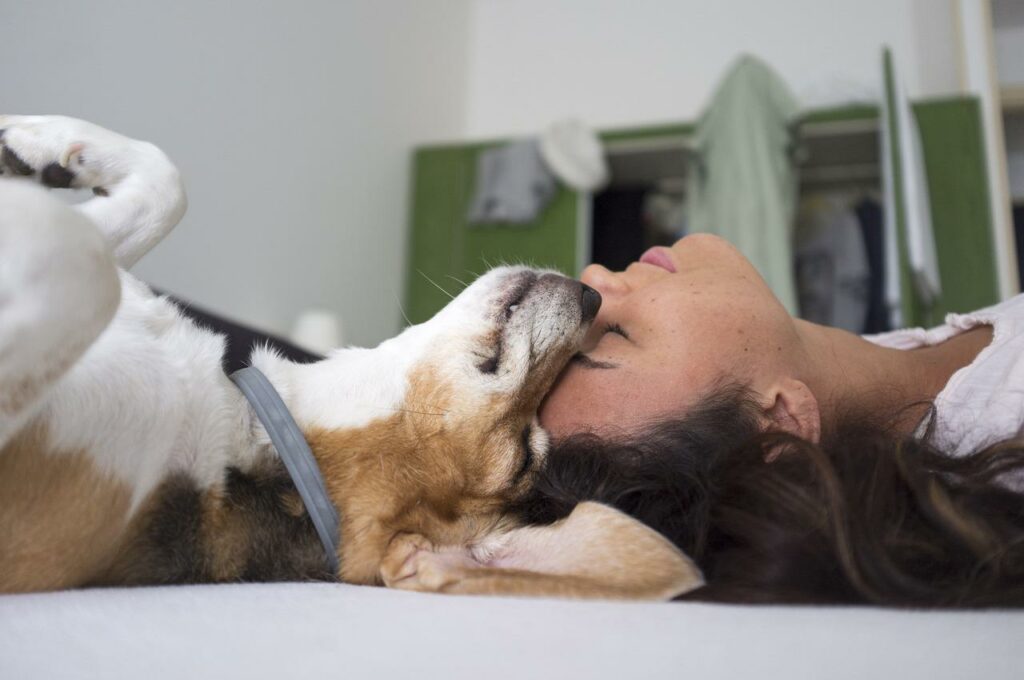 cane dimostra amarti incondizionato