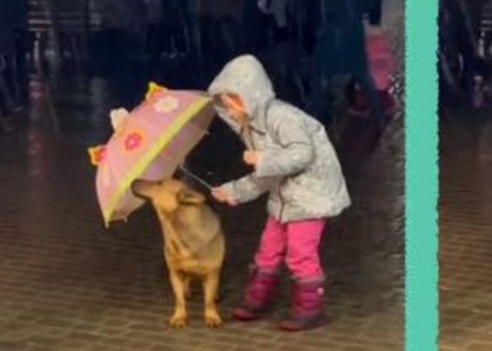 bambina con cane