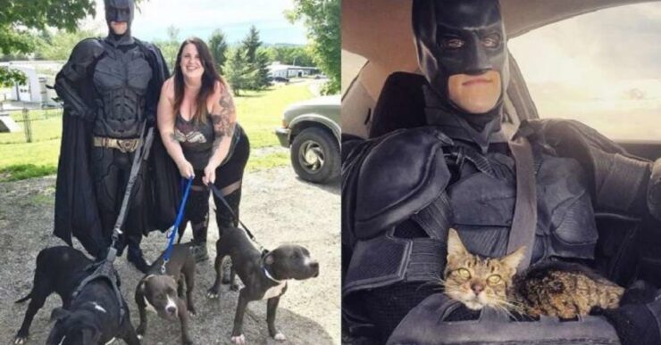 batman e i cani